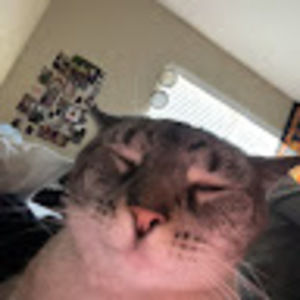 Meet your Posher, Jessie